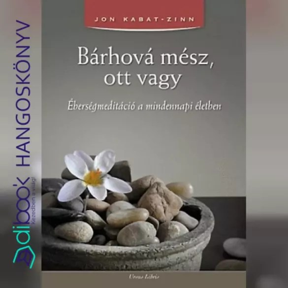 Bárhová mész, ott vagy borító