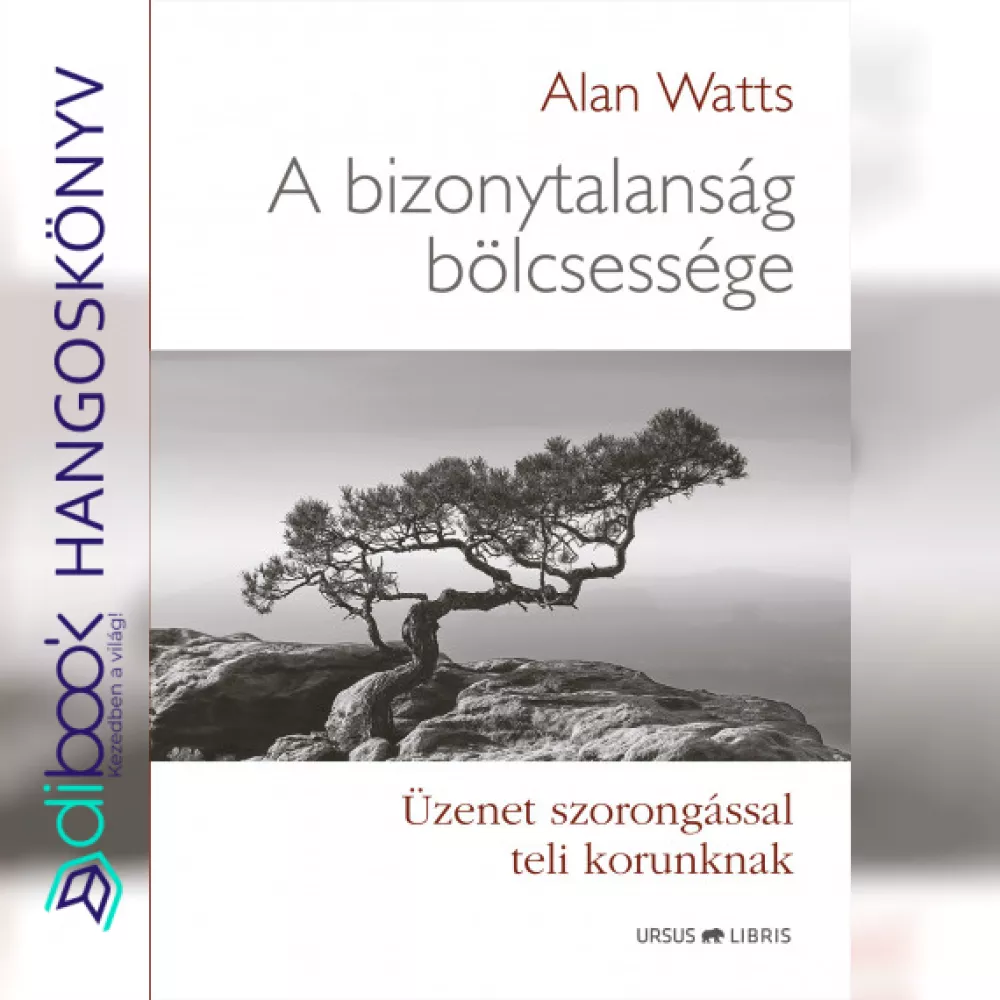 A bizonytalanság bölcsessége borító