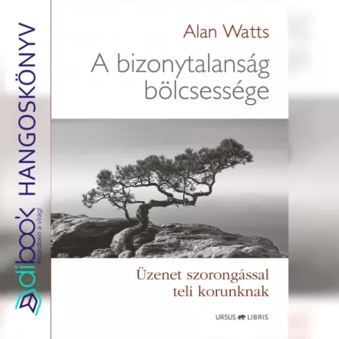 A bizonytalanság bölcsessége borító