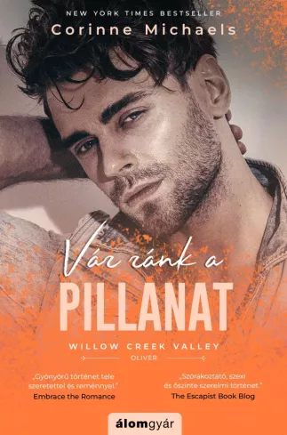 Vár ránk a pillanat borító