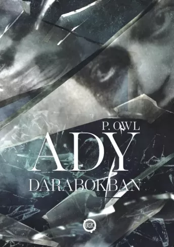 Ady darabokban borító