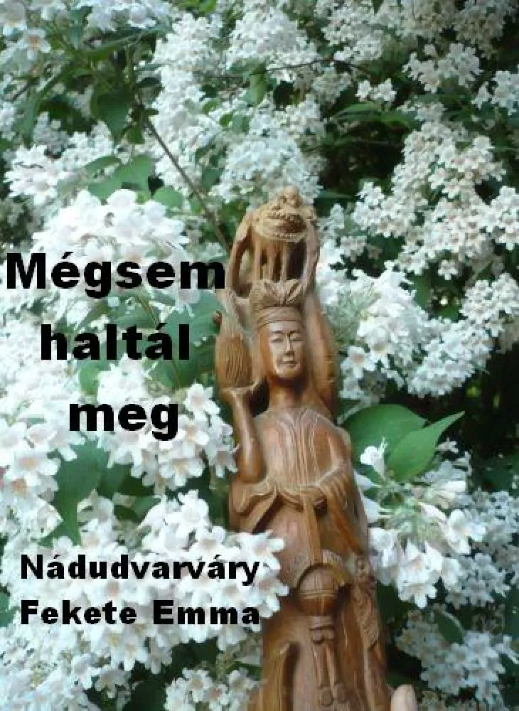 Mégsem haltál meg borító