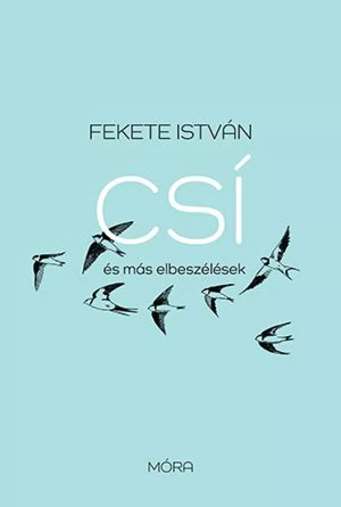 Csí és más elbeszélések borító