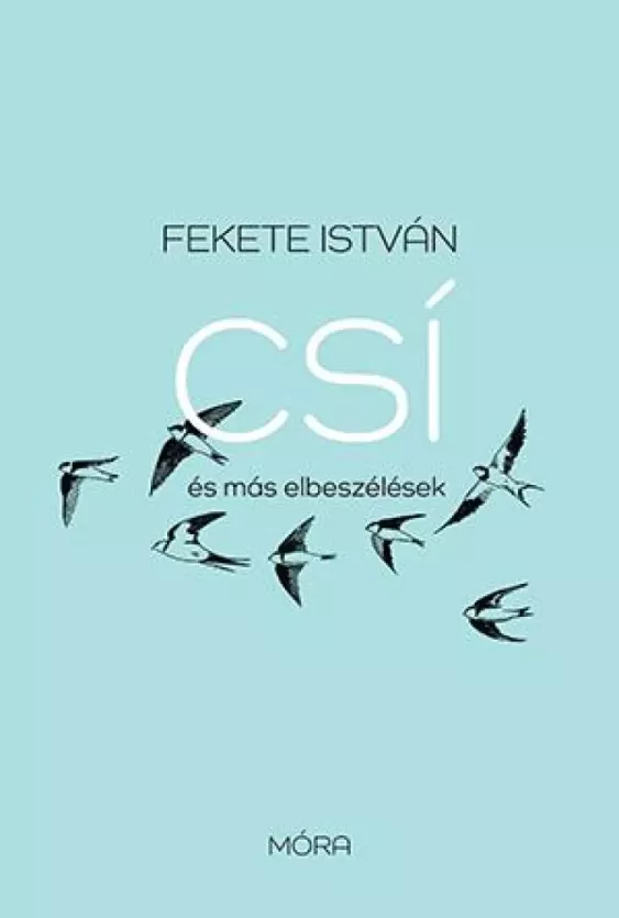 Csí és más elbeszélések borító