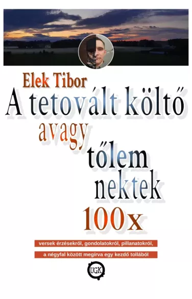 A tetovált költő borító
