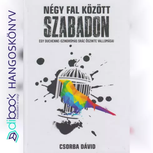 Négy fal között szabadon borító