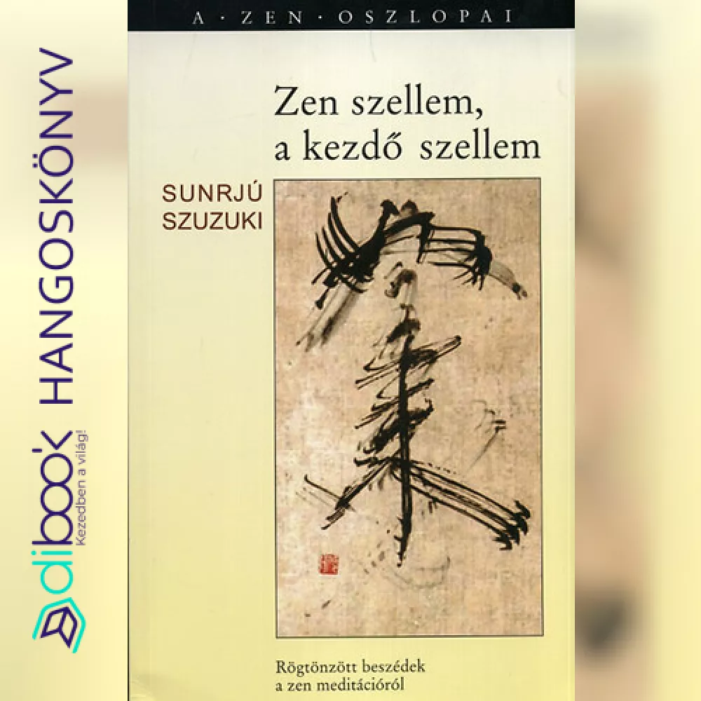 Zen szellem, a kezdő szellem borító