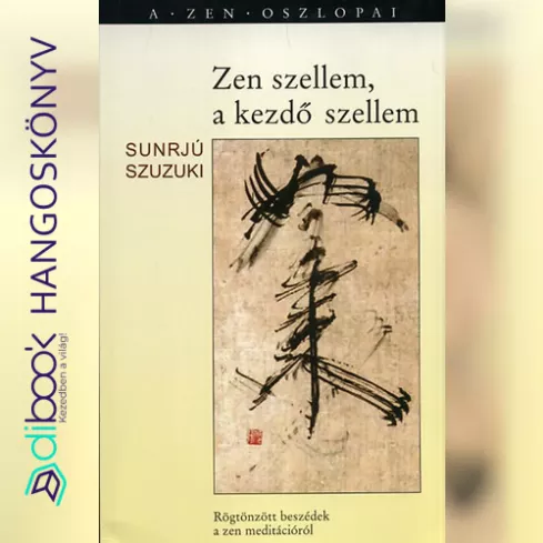 Zen szellem, a kezdő szellem borító