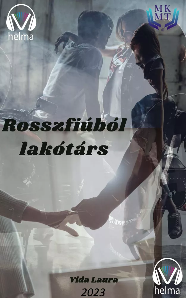 Rosszfiúból lakótárs borító