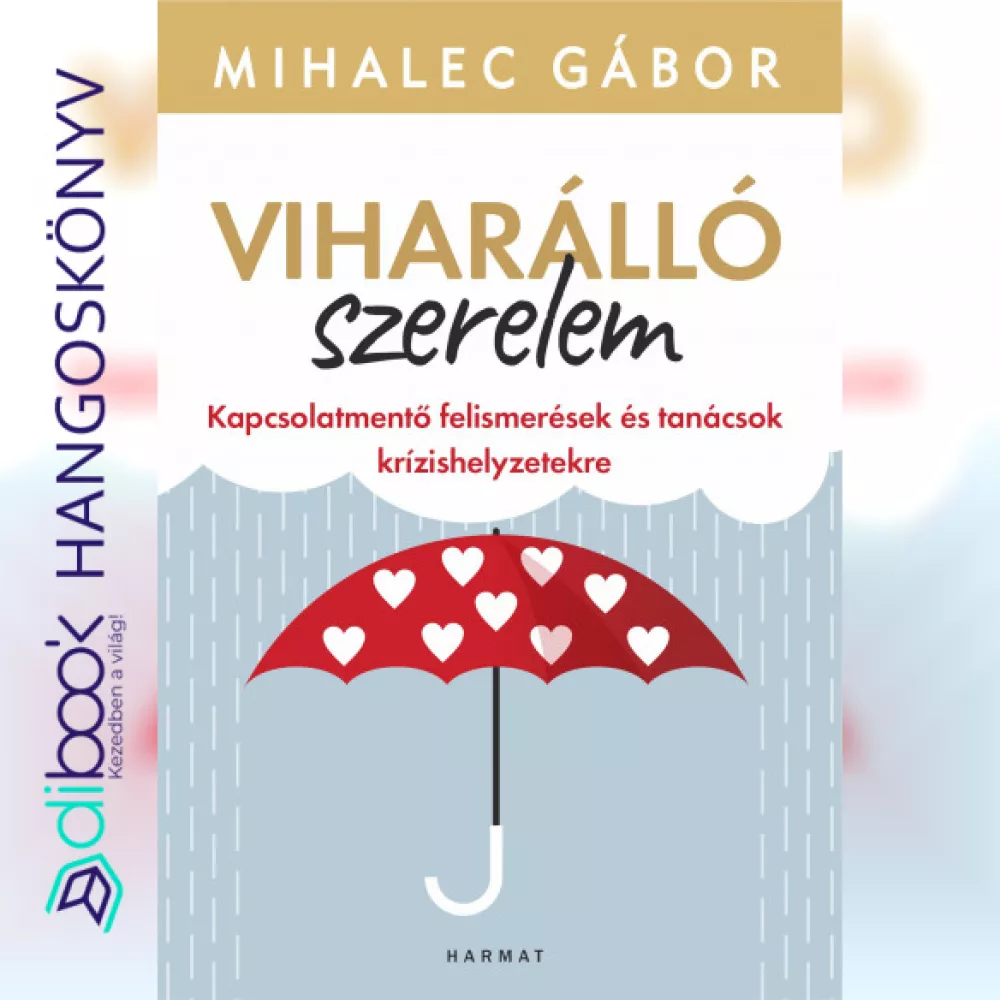 Viharálló szerelem borító