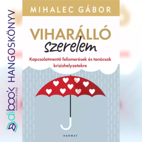 Viharálló szerelem borító