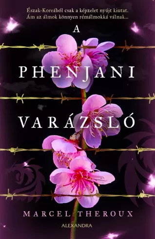 A phenjani varázsló borító