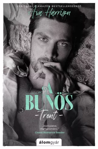 A ​bűnös borító