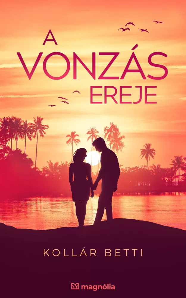 A ​vonzás ereje borító