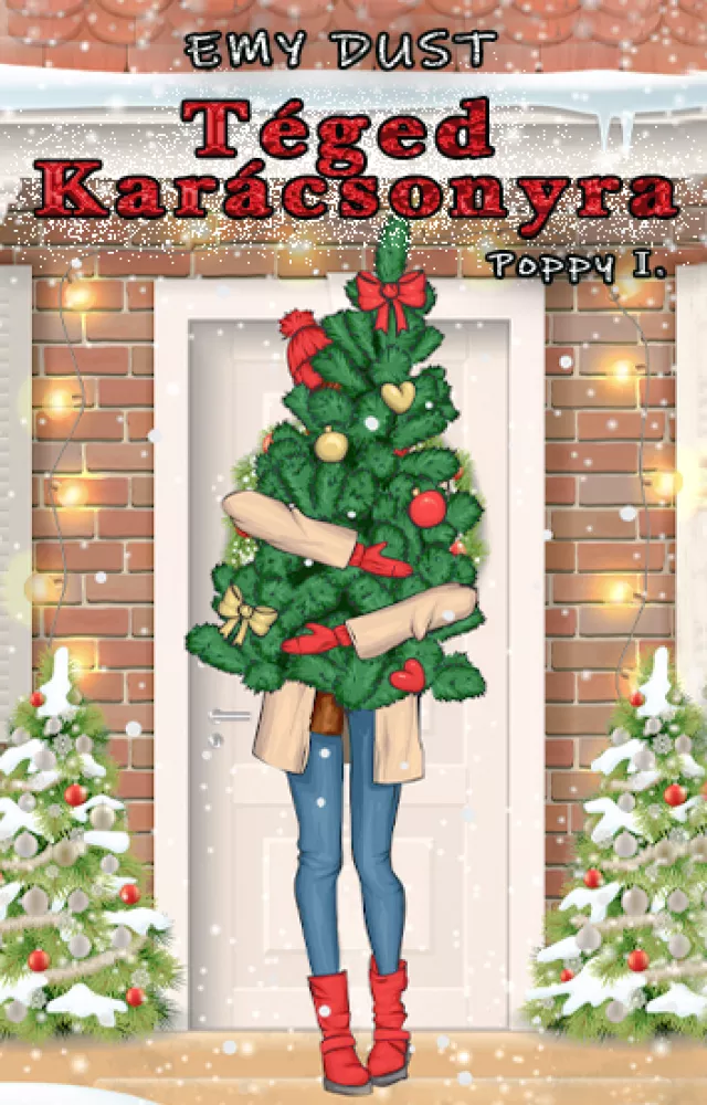 Téged karácsonyra borító