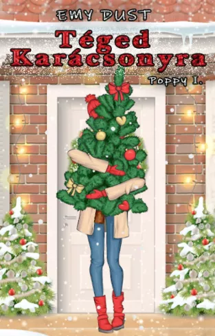 Téged karácsonyra borító