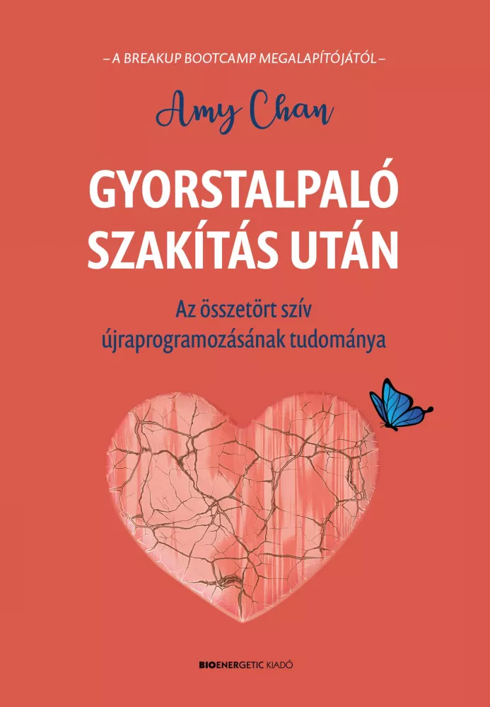 Gyorstalpaló szakítás után borító