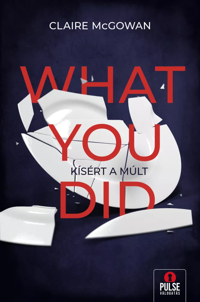 What You Did – Kísért a múlt borító