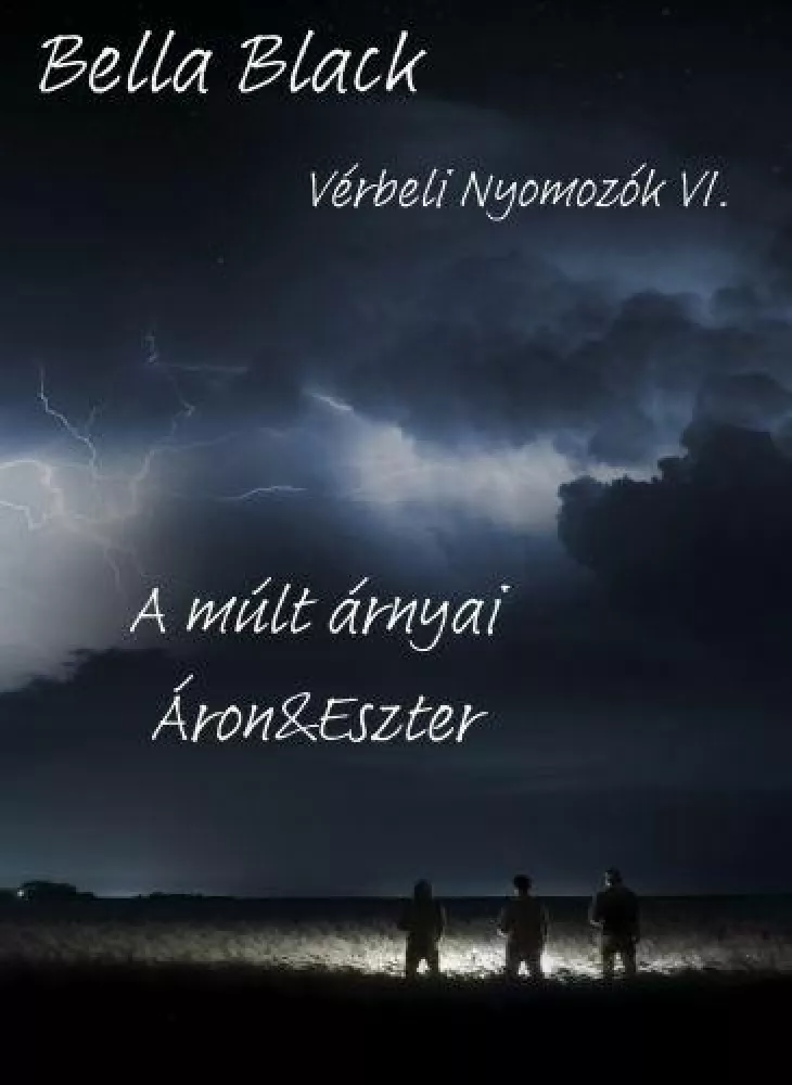 Vérbeli Nyomozók VI. borító