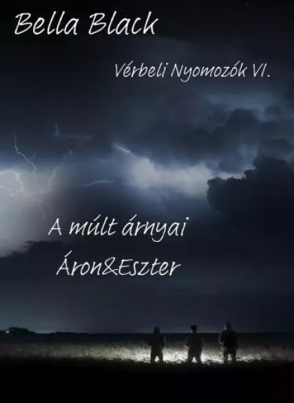 Vérbeli Nyomozók VI. borító