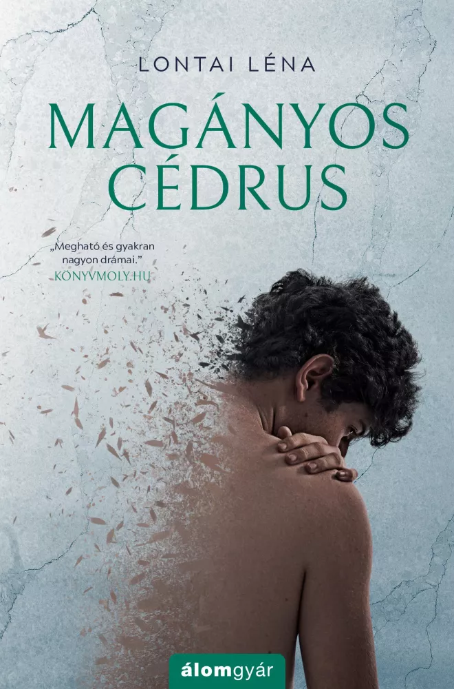 Magányos cédrus borító