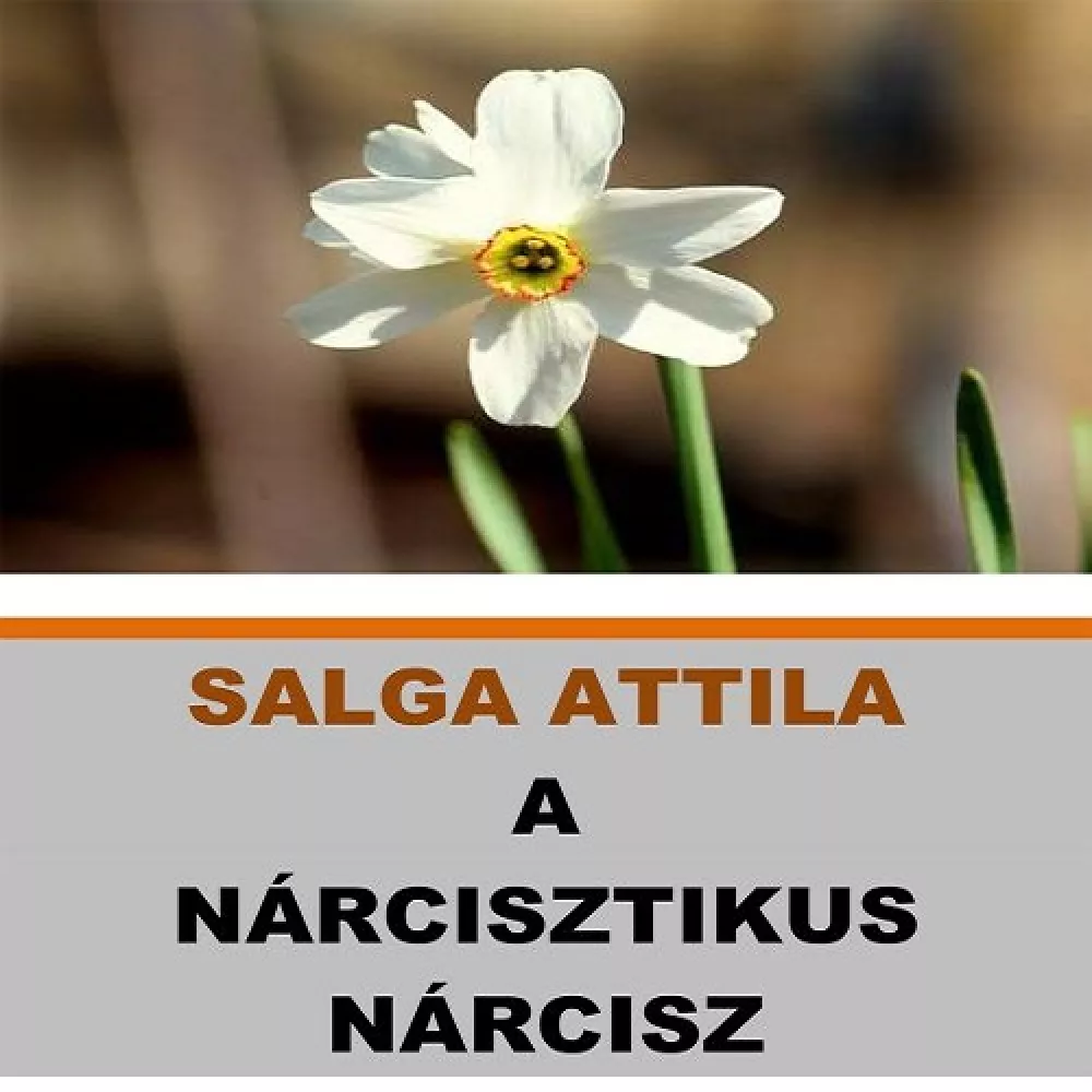 A nárcisztikus Nárcisz borító