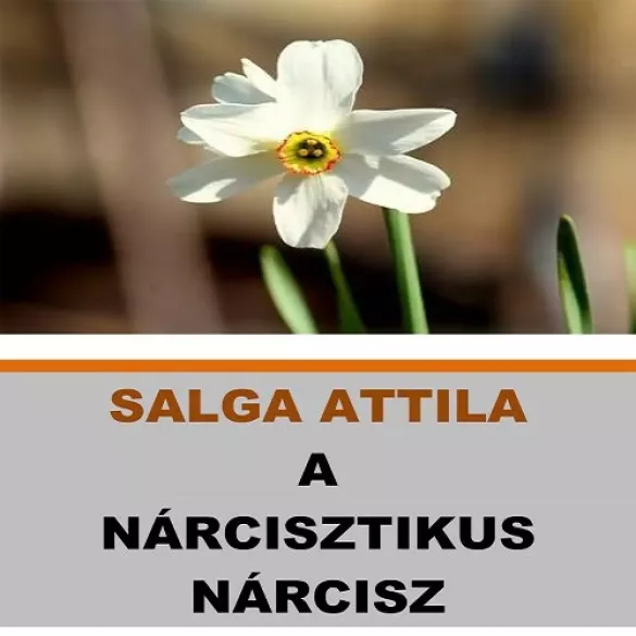 A nárcisztikus Nárcisz borító