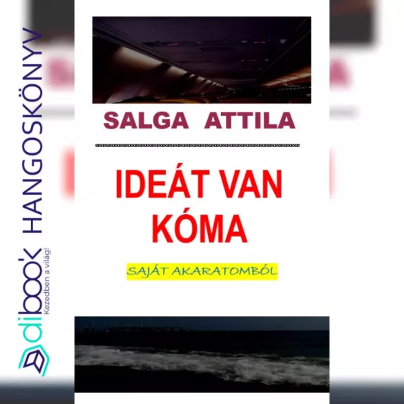 Ideát van kóma borító