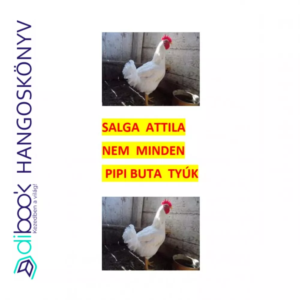 Nem minden Pipi buta tyúk borító