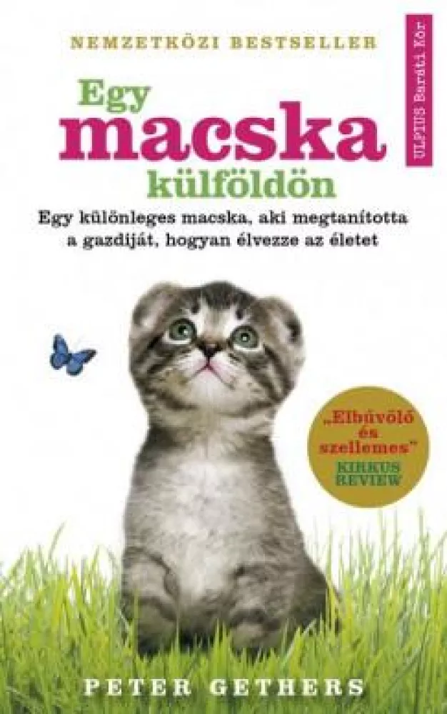 Egy macska külföldön borító