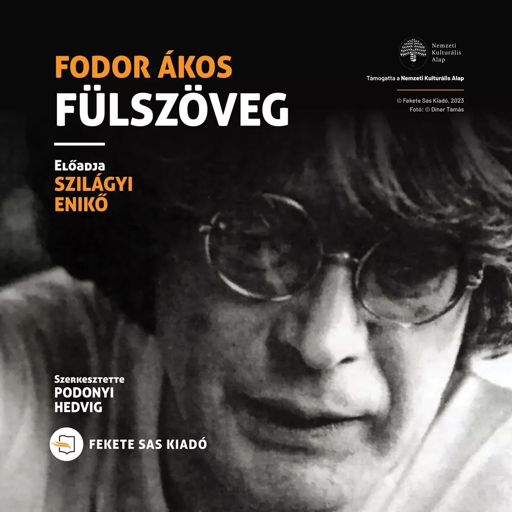 Fülszöveg borító