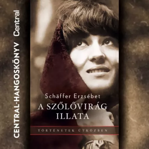 A szőlővirág illata borító