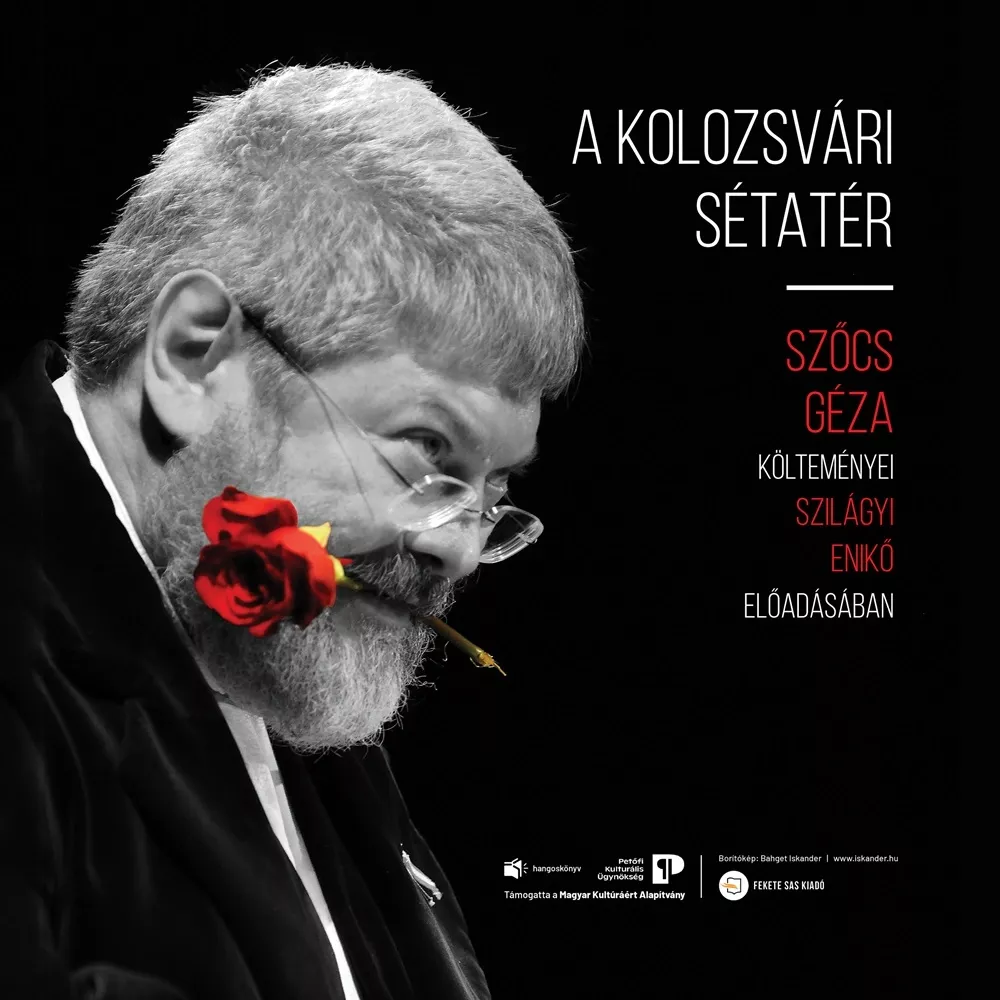 A kolozsvári sétatér borító