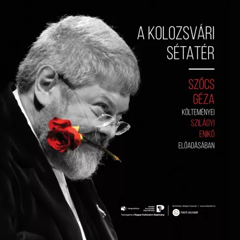 A kolozsvári sétatér borító