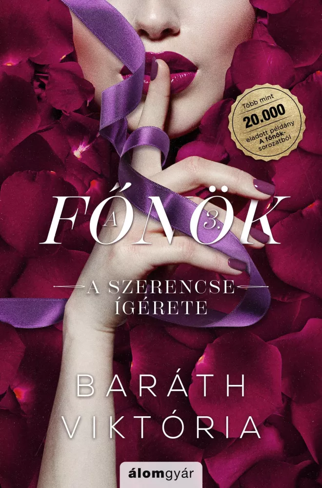 A szerencse ígérete borító