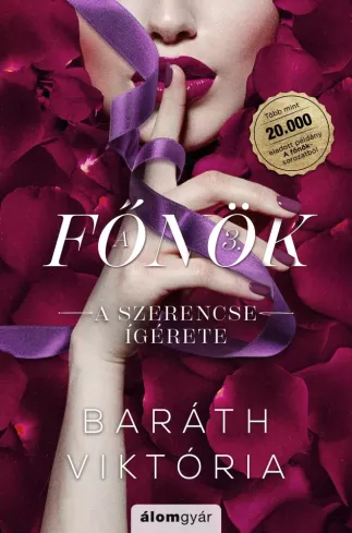 A szerencse ígérete borító