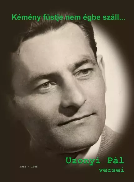 Kémény füstje nem égbe száll… borító