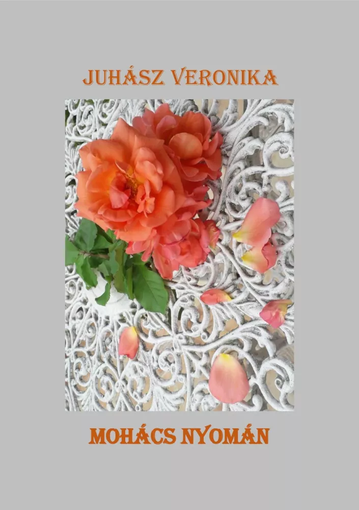 Mohács nyomán borító