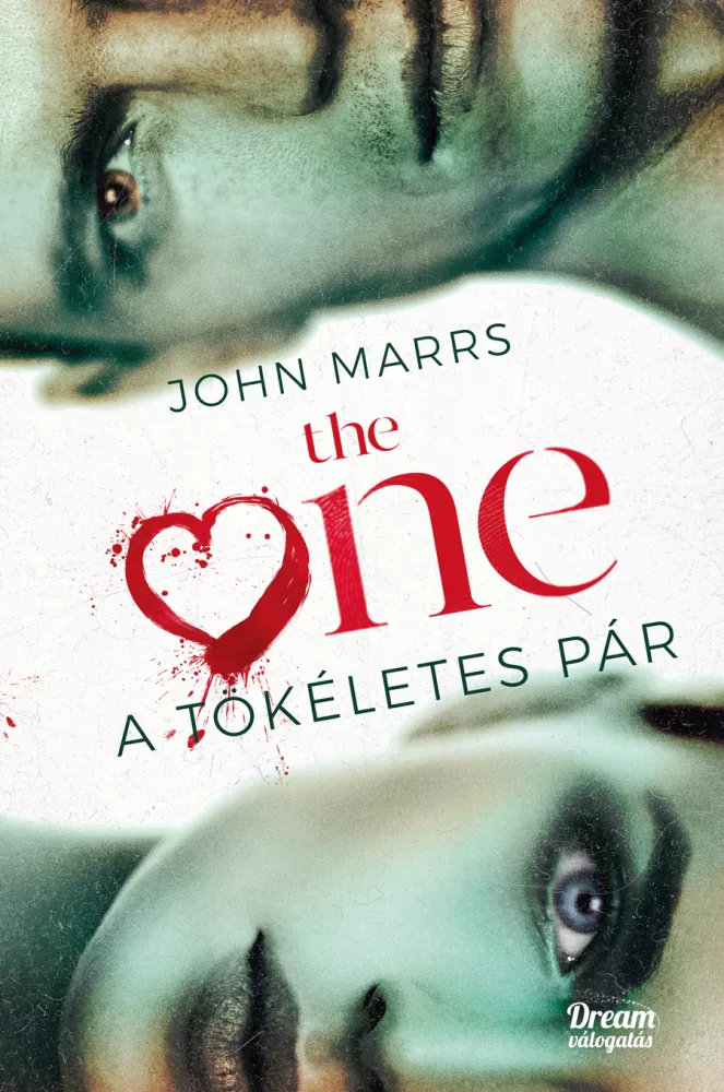 The One – A tökéletes pár borító