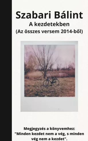 A Kezdetekben borító