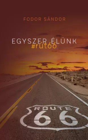 Egyszer élünk