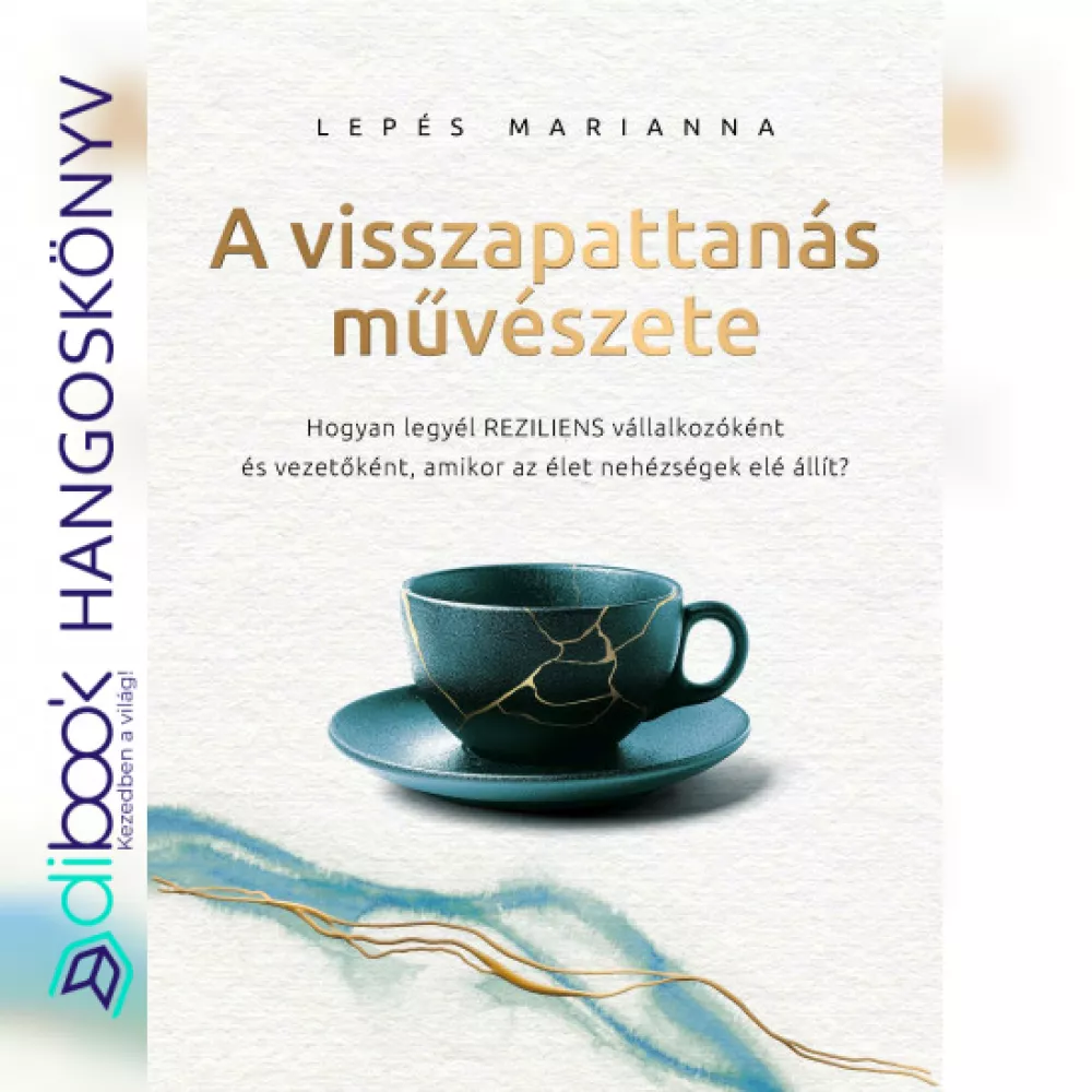 A visszapattanás művészete borító