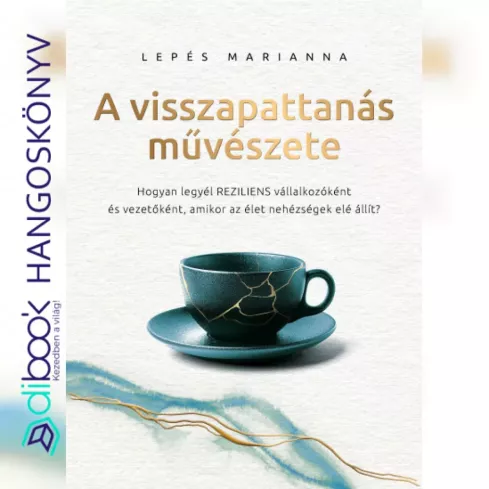 A visszapattanás művészete borító