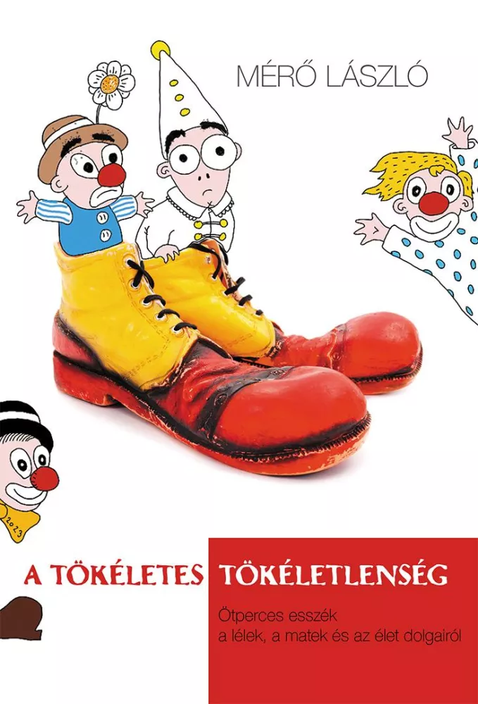 A tökéletes tökéletlenség borító