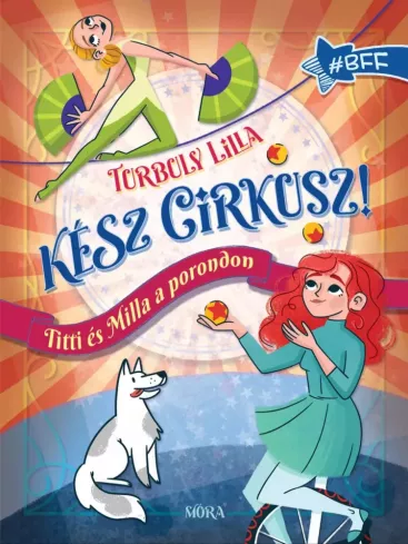 Kész cirkusz!