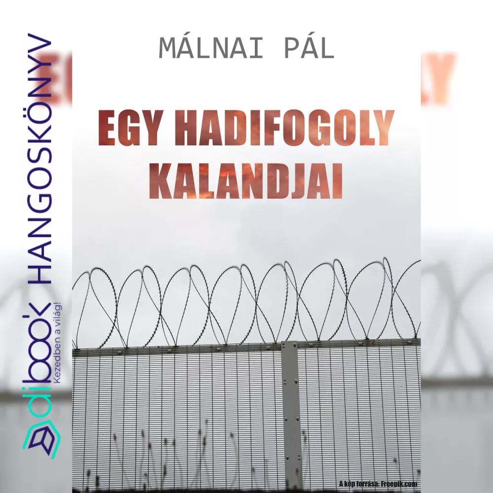 Egy hadifogoly kalandjai borító