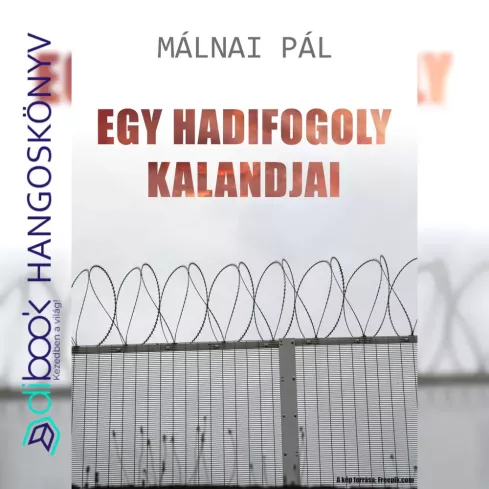 Egy hadifogoly kalandjai borító