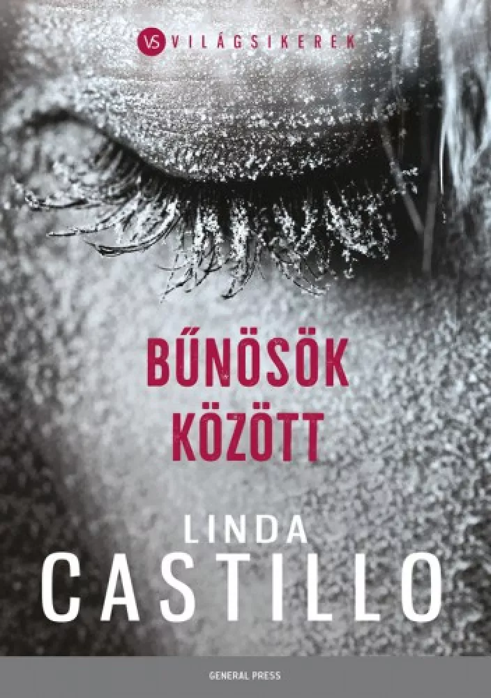 Bűnösök között borító