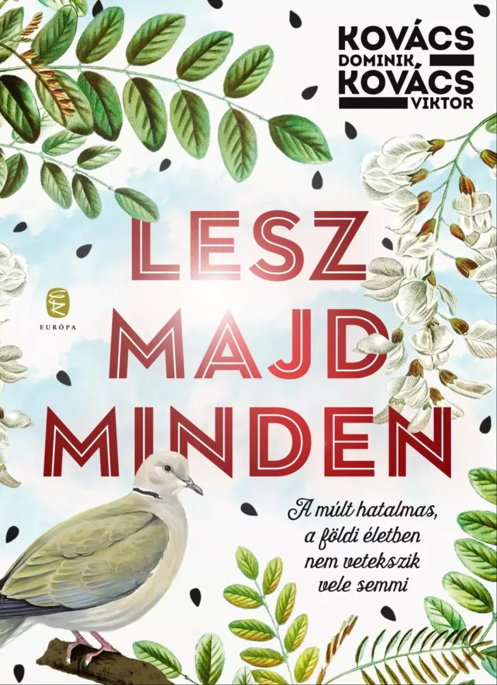 Majd lesz valahogy borító