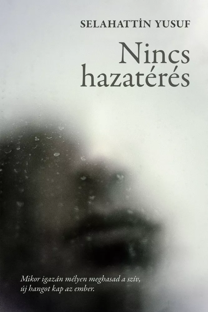Nincs hazatérés borító